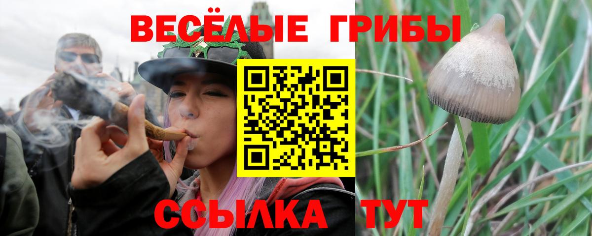 Карпинск  Галлюциногенные грибы GOLDEN TEACHER  наркотики  Псилоцибиновые грибы Magic Shrooms  Вход с VPN 